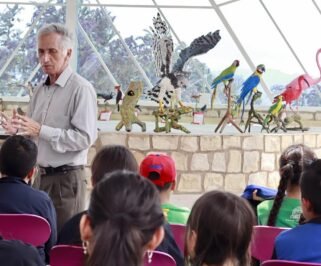liceo campestre vida nueva 3